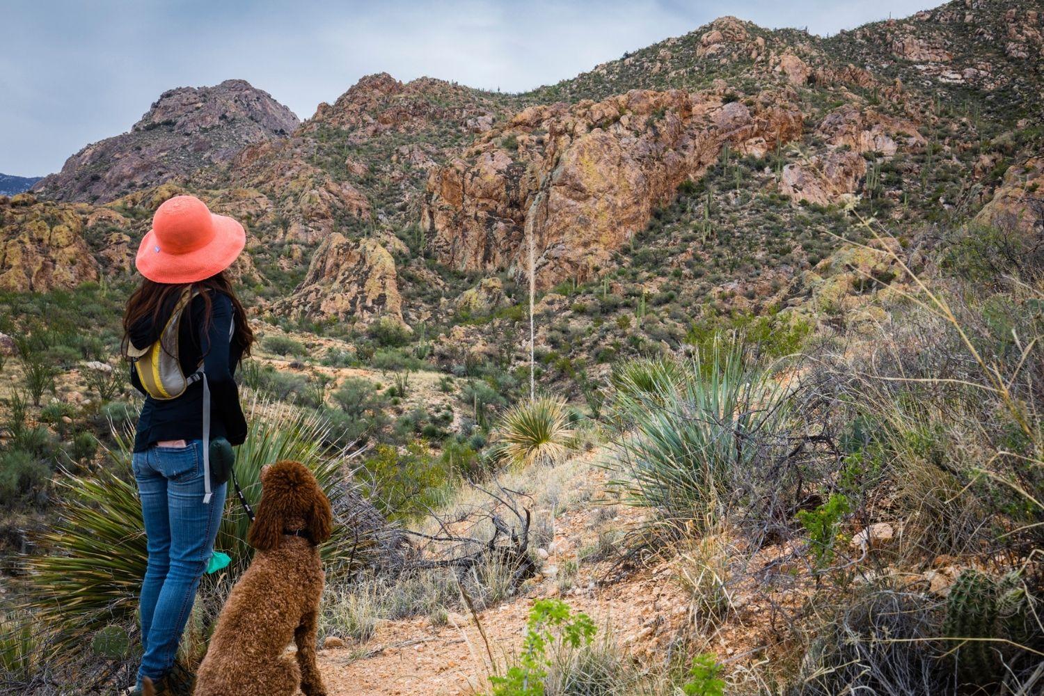 Tucson-Dog-Parks-hike