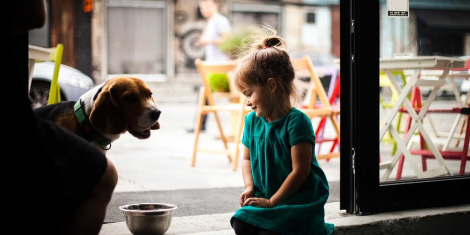 Local Pet Care is excited to bring you an incredible list of the very best dog-friendly restaurants, bars, and breweries in Buffalo, NY!