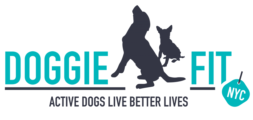 Doggie Fit LLC. logo