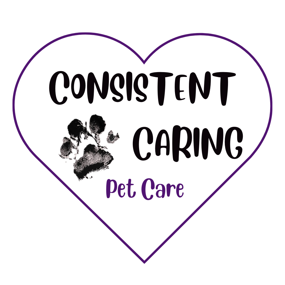 Consistent Caring logo