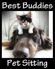 Best Buddies Pet Sitting logo