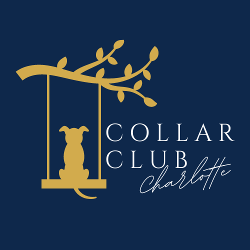 Collar Club CLT logo